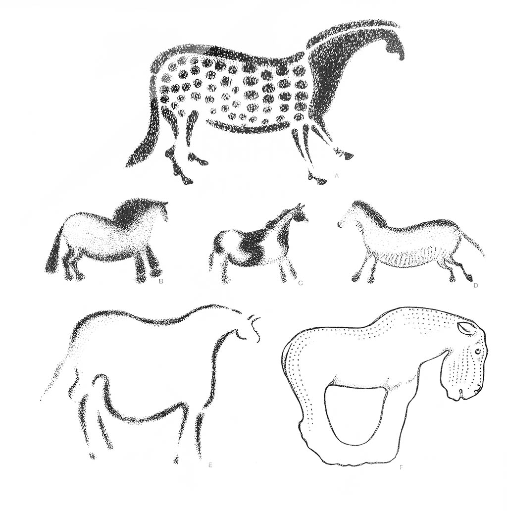 abcdef — лошадь дикая / Каменный век. Европа