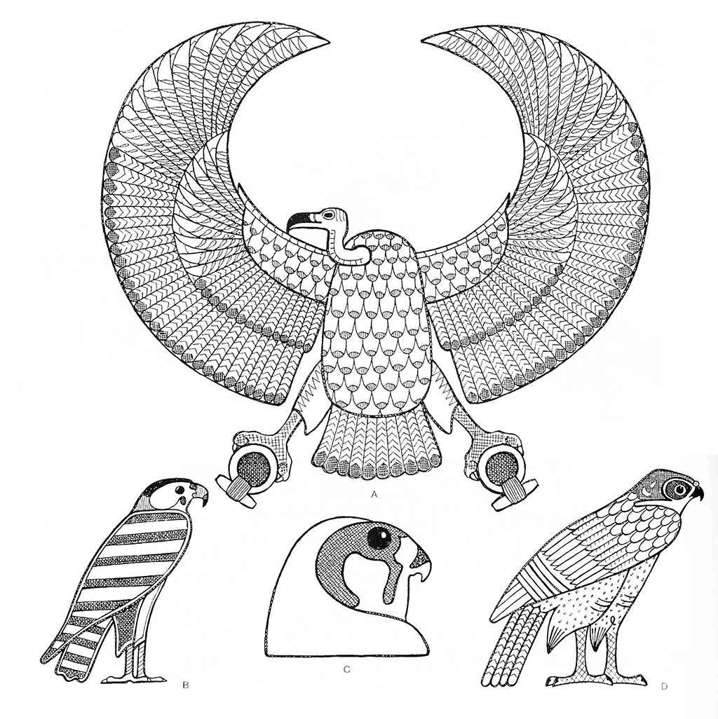 a — стервятник (египетский летящий), bd — сокол, c — сокол (голова) / Египет